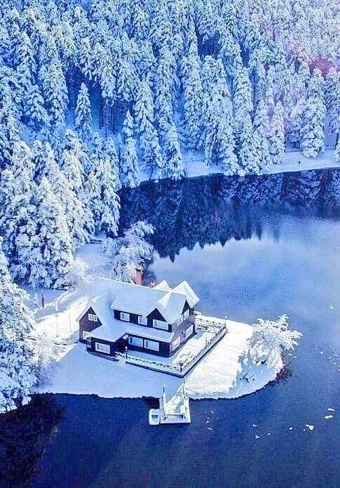 torarelaxtime's tweet photo. Good morning everyone.
Have a wonderful and beautiful Wednesday.
#WINTER #NaturePhotography #GoodMorningTwitterWorld #GoodMorningWorld #naturelovers #silverworld #HappyWednesday https://t.co/jpQ0neHaxl