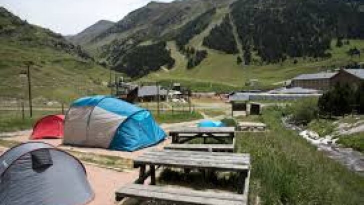 La acampada ⛺️, la forma más sencilla de acercarse a la naturaleza 🪵🐿🌲 y la libertad agronewscastillayleon.com/la-acampada-la… vía <a href="/AgronewsCyL/">AgronewsCyL</a>