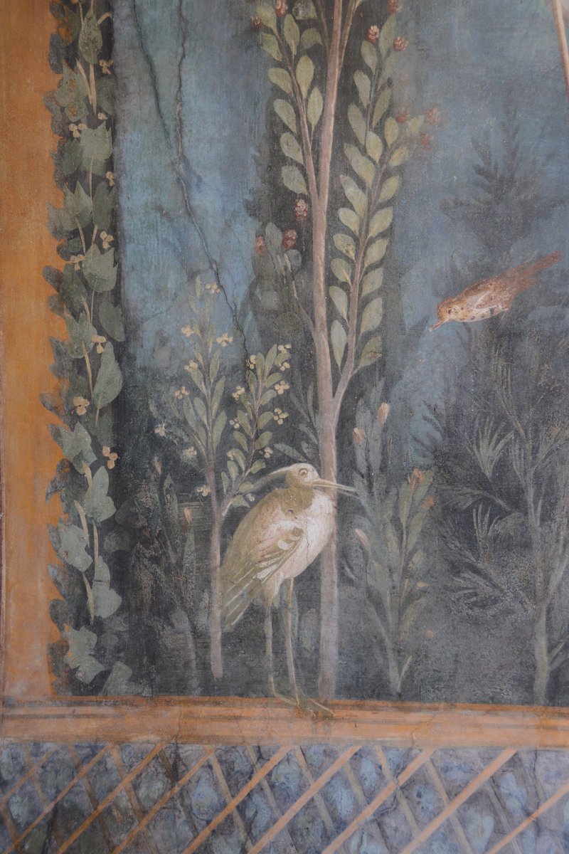 For  #NationalBirdDay a bit of bird spotting in the garden fresco of the House of Venus in the Shell  #Pompeii