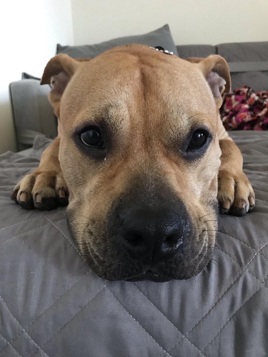 手が乾燥してう こ袋が開かないので 犬の散歩中のライフハックが注目される おまえの鼻が役に立つのさ Togetter 手が乾燥してう こ袋が開かないので 犬の散歩中のライフハックが注目される おまえの鼻が役に立つのさ Togetter