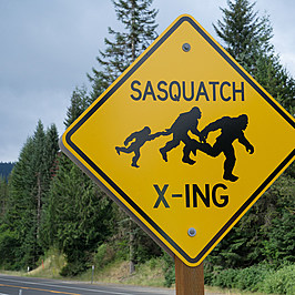 Y95Country's tweet photo. Are These Bigfoot Sightings in Wyoming Fact or Fiction? https://t.co/PSQpBQcmeL

#Bigfoot #Sasquatch, @BFRO_Updates, #Wyoming https://t.co/8PuMH0R1sT
