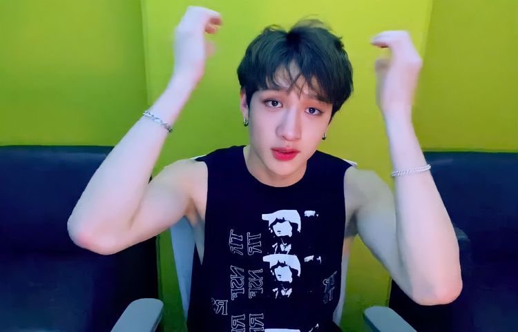eboy bang chan: a thread! 