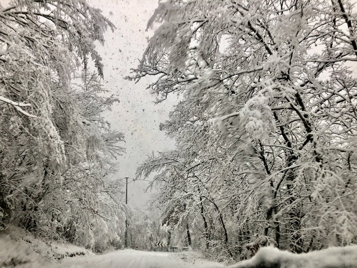 InfoLasomma's tweet photo. The  beauty of winter ❄️!!!

#agriturismolasomma#agriturismo #agriturismoitalia #vacanze#vacanzeumbre #neve #inverno  #turismoitalia #spoleto #spoletolovers #natura #relaxtime😎 #autunno🍁 #parasiso #italia #spoleto ❤️@ Agriturismo La Somma https://t.co/vpaTrSth6U https://t.co/noOsqLyWdD