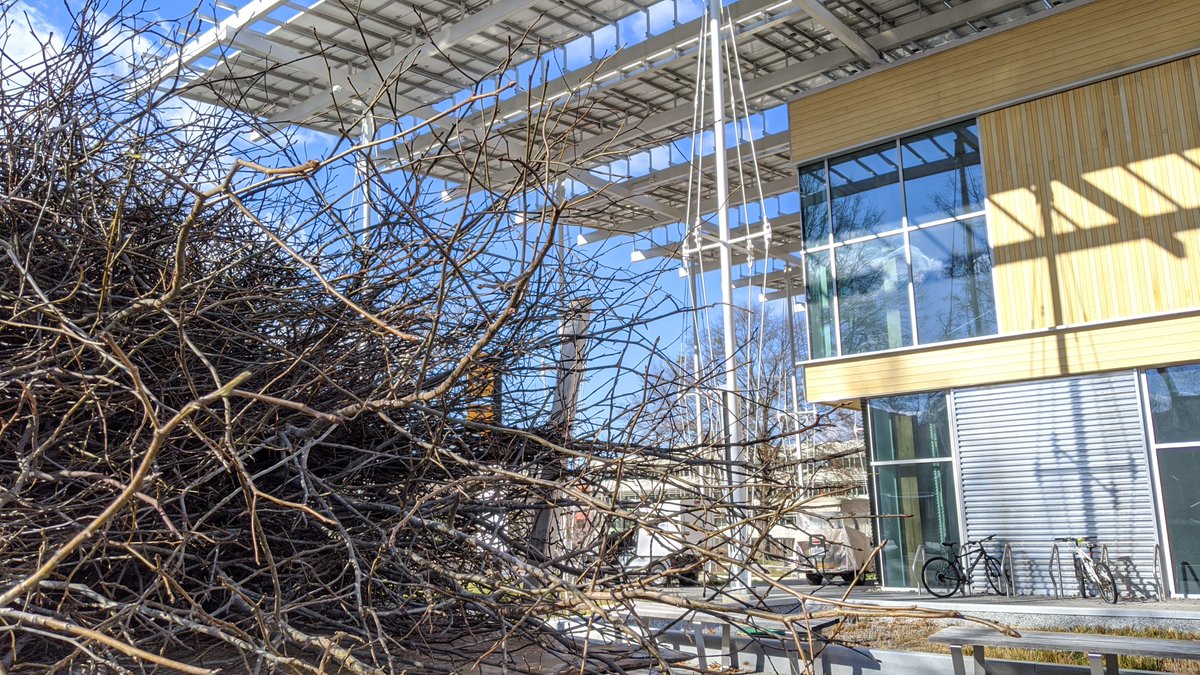 KendedaBuilding's tweet photo. Saplings have arrived from @serenbe! Next shipment arrives tomorrow. Artist Patrick Dougherty and @artsatgt volunteers will create a stickwork installation in GT Eco-Commons. Volunteers needed! Sign-up @ https://t.co/GLJW2J4mZ4.
#artsattech #georgiatech #gatech #kendedabuilding https://t.co/j2Rm3rKkuZ