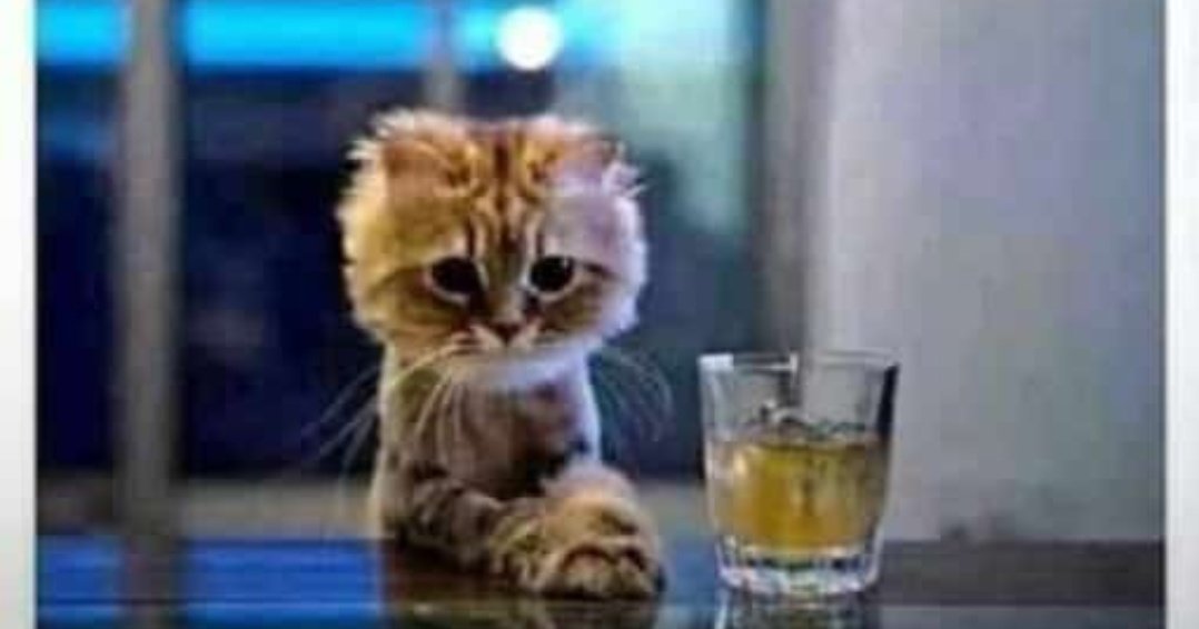 Before we continue, just know that the rest of the thread and the beef between Piano and KalyJay is quite disappointing because they moved to each others deceased parents.