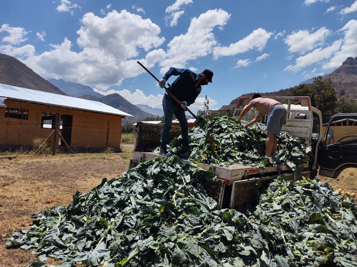 MuniSJdeMaipo's tweet image. HOY || La Unidad de Medioambiente  y Prodesal, realizó la primera entrega de alimentación vegetal 🍀del año junto con @realimentoschi1 haciendo entrega de 7 toneladas en la localidad de “Los Maitenes” y “El Puente el Volcán”🌋