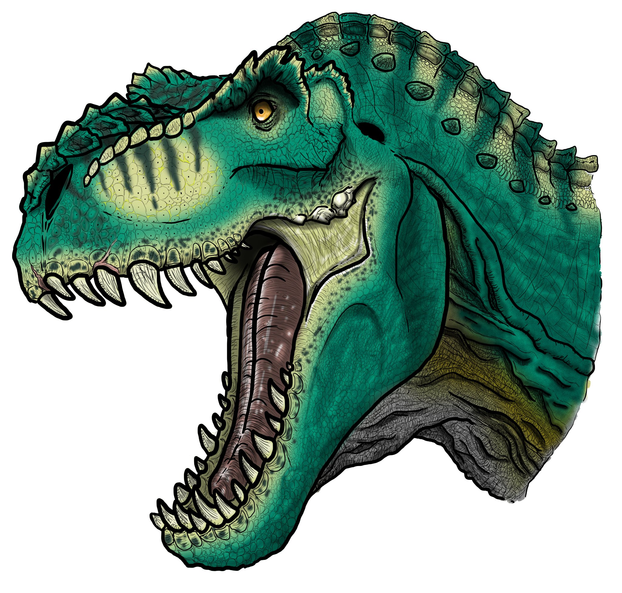 その他 T-rex V1 hq720.jpg?sqp=-