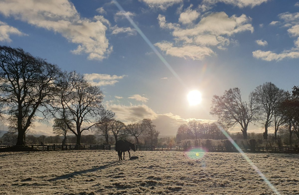 LeahanB's tweet photo. These frosty winter mornings give the best photos. These are some photos taken over the weekend.
#nofilterneeded #FarmLife #happyhorses #happycattle #australiancattledog https://t.co/jGdb5IvcUs