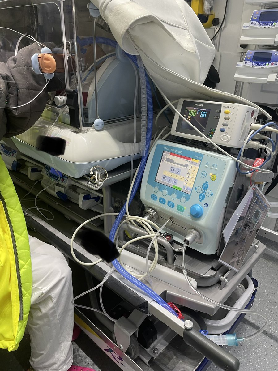 Rhazelovitch's tweet photo. Transport neonat de micro-truc, 3h de vie en détresse respi depuis petite mater jusqu’à gros CH. Ça va déjà beaucoup mieux sous CPAP. #LTSmur https://t.co/ypUX3HQmKS