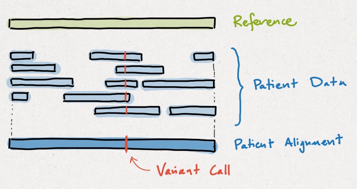 Clinical sequencing works by comparing a patient's genome up to a reference genome. Intuitively, the differences are called  #variants, as shown below. Detecting variants using a reference genome is easier the same way that solving a jigsaw using a photo is easier.