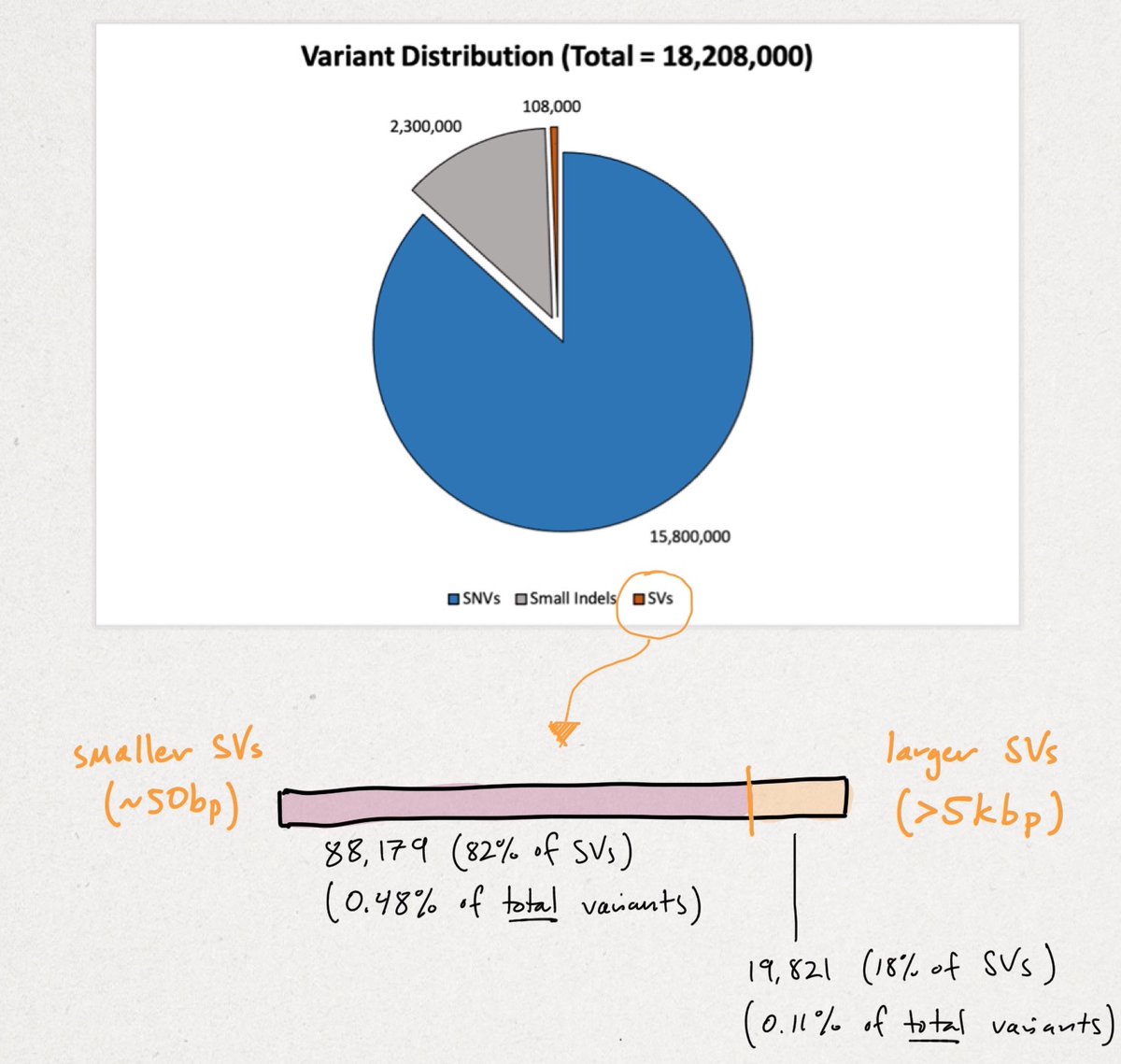 Let's now discuss the study's results.Across all samples, the researchers yielded 18,207,906 unique variants that break down in the following manner (see illustration below). We'll begin with the smallest variants (SNVs) and end with the largest structural variants (SVs).