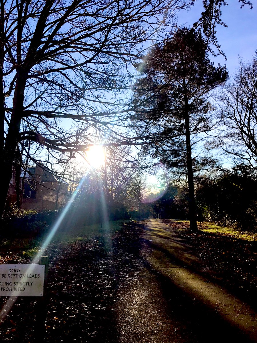 Cold winter sun is so much better than cold winter rain!