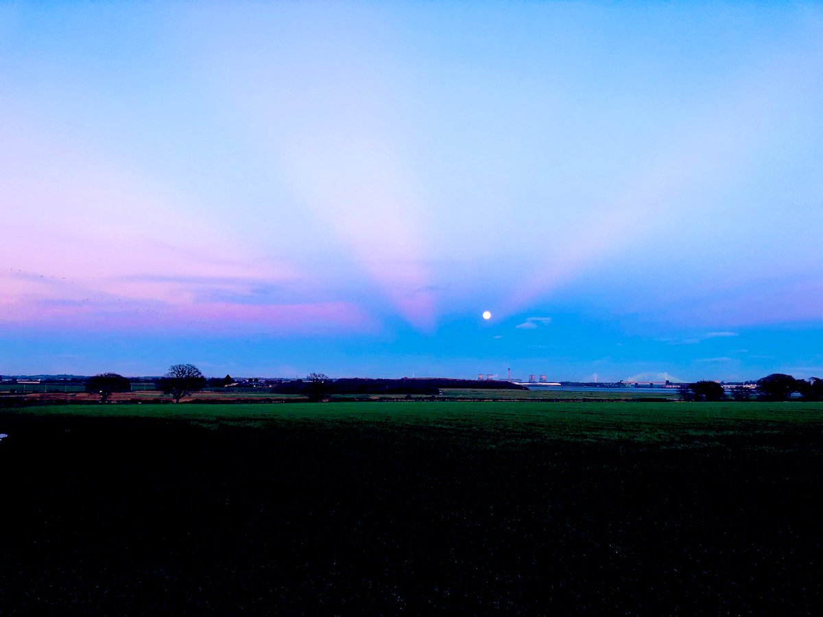 daveliverbirder's tweet photo. The #moonrise was stunning tonight, and certainly made picking up the Woodcock departing their daytime roosts a lot easier! #timetowarmup #birding #cawosbirding https://t.co/l4ckNTVkSc