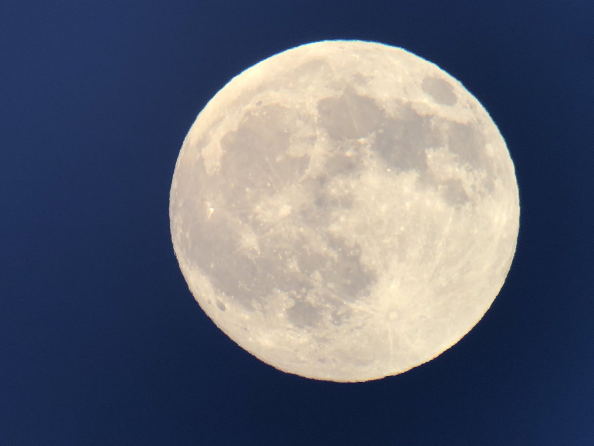 daveliverbirder's tweet photo. The #moonrise was stunning tonight, and certainly made picking up the Woodcock departing their daytime roosts a lot easier! #timetowarmup #birding #cawosbirding https://t.co/l4ckNTVkSc