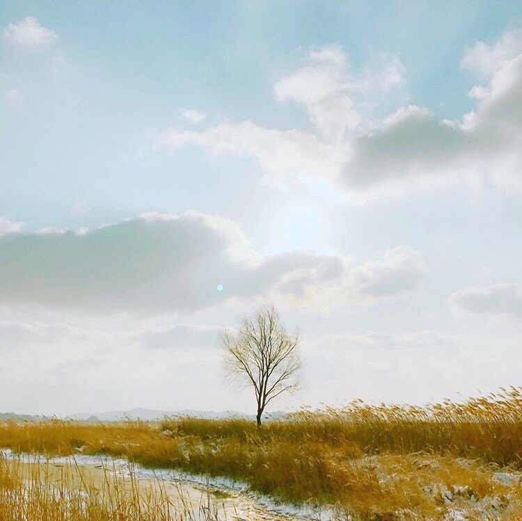 much of his photography being on nature could also indicate high levels of intelligence