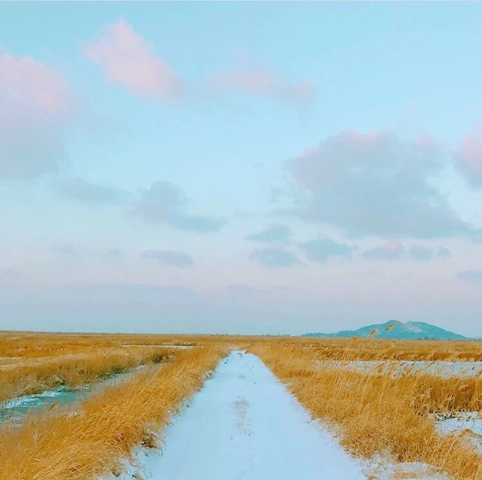 much of his photography being on nature could also indicate high levels of intelligence