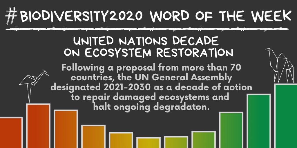 UN Biodiversity tweet media