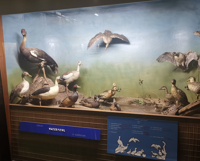 zimlocals's tweet image. Museum of Human Science in Harare, Zimbabwe

#VisitHarare #Museum #HumanScience #VisitZimbabwe #TravelZimbabwe #Harare #Zimbabwe