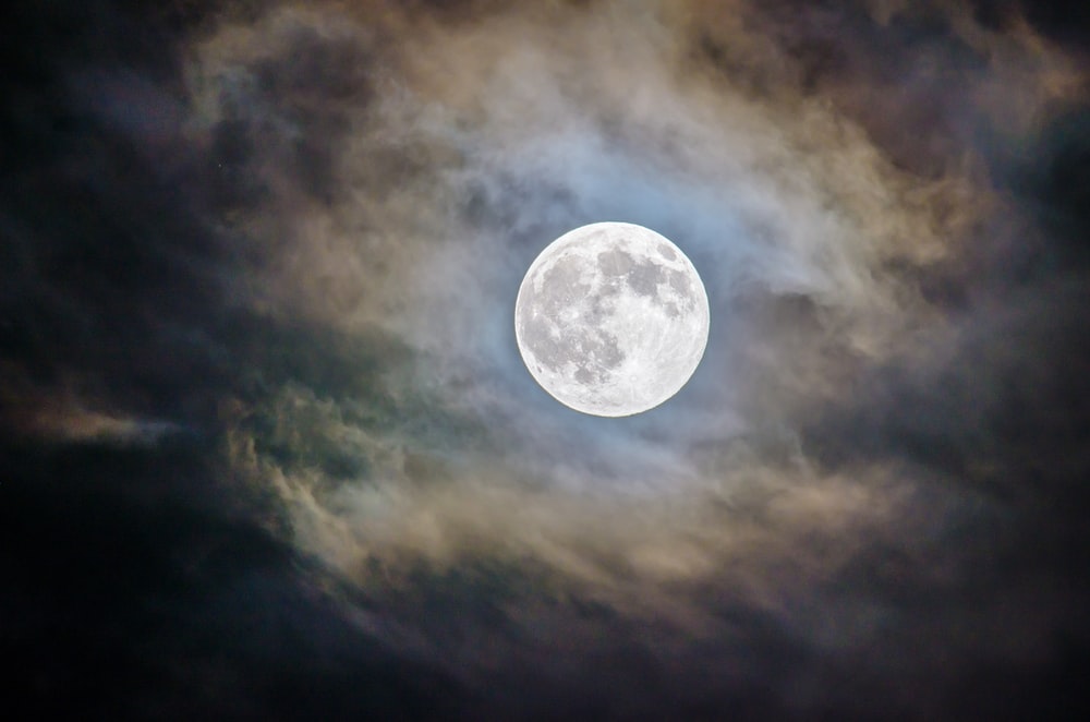 NeilCrenshaw's tweet photo. There's a full moon rising
Take heed and look to the east
You will find it very tranquilizing https://t.co/fvh4r9ZTUj