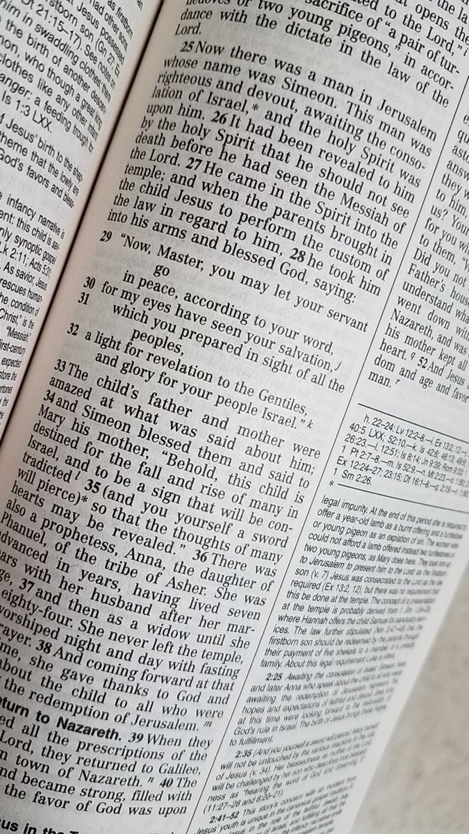 I’ve been nominated by 
<a href="/christinamiriam/">Sr. Christina the Astonishing😇</a>
 to produce a pic a day to illustrate my daily life (no people).
You are invited to copy these words and repeat the challenge.  Day 2 of 7 :-)
Today I nominate <a href="/SrRoseMovies/">Sister Rose Pacatte</a>