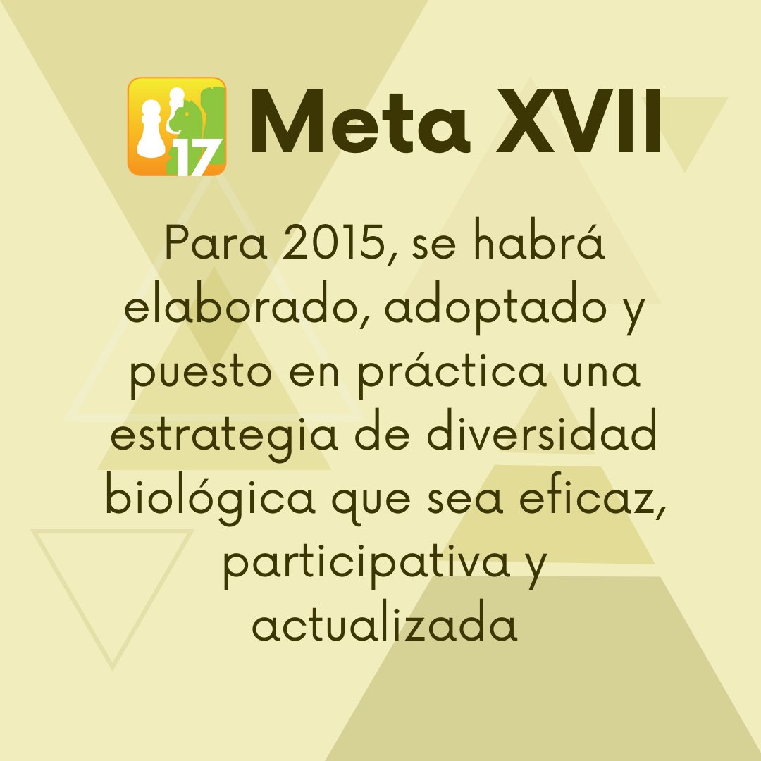 SagaceCS's tweet photo. Para hoy tenemos la meta 17 de las #metasaichi esta es una meta que debimos haber cumplido en el 2015: Desarrollar e implementar una estrategia nacional para la conservación de la biodiversidad
#UnaDécadaDespués #Sagacecs #Emelemé #elestuario @el_estuario 
https://t.co/jxYmCElMpy https://t.co/Ga31Bi1I8R