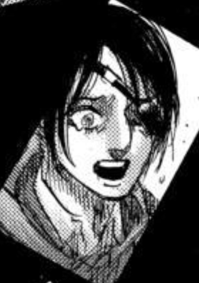 There's a conflict between Eren and Hange that hasn't been solved yet... also there are weird hints that haven't been revealed yet: Titan marks, memory shard.... but Hange died before having the chance to talk to him... Why..? It's a bit weird