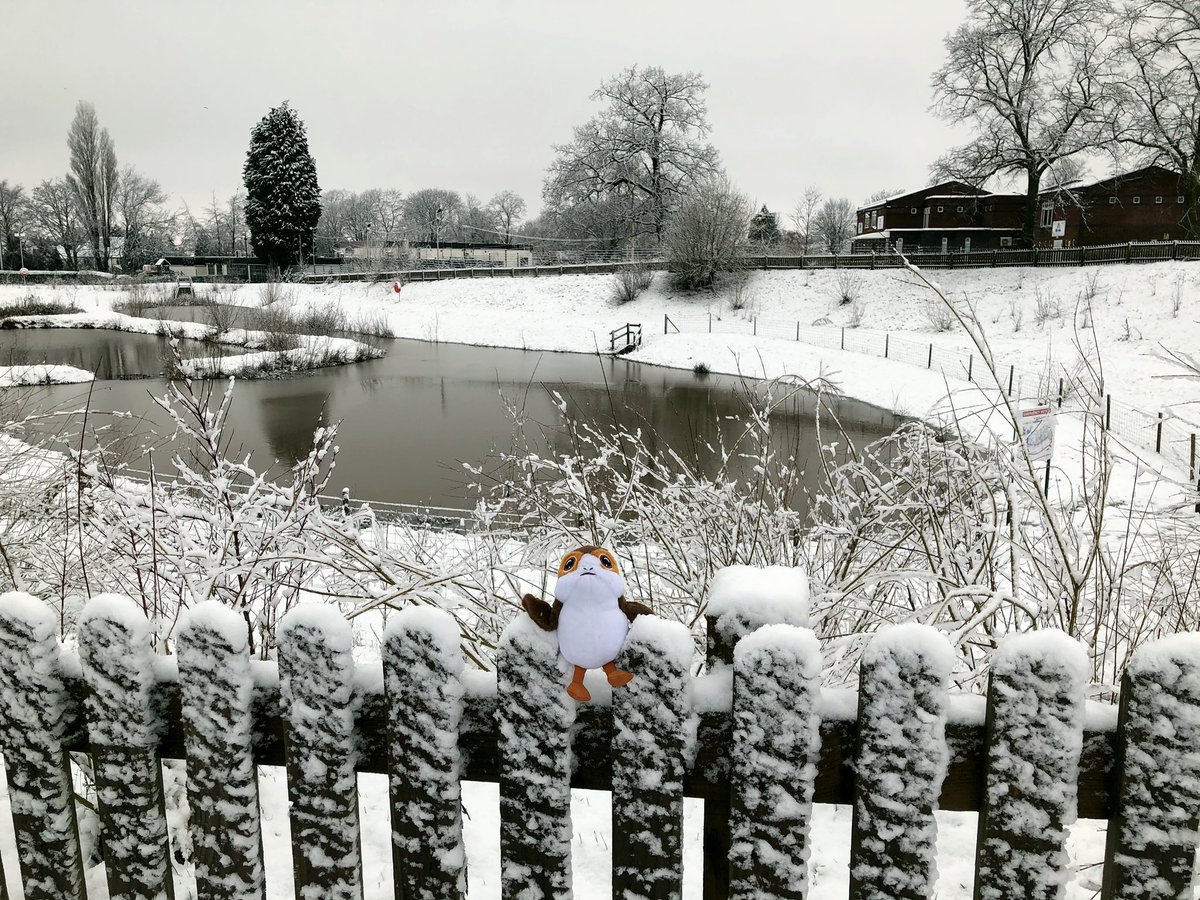 What a beautiful day for a walk... but I think Patsy Porg might need a scarf 🥶