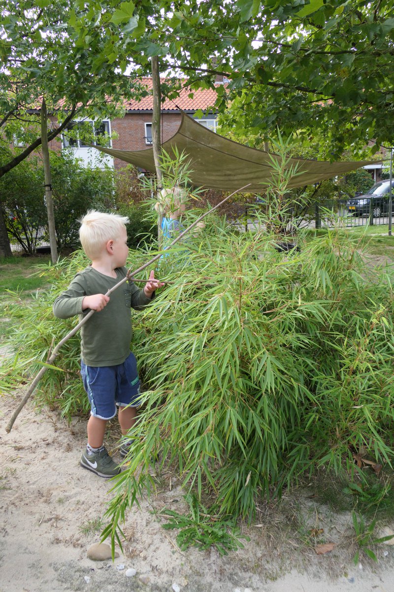 Brabant vergroent schoolpleinen! De schoolpleinen worden gebruikt als buitenlokaal en het groen dient als les- en voorbeeldmateriaal. Maar de boog kan niet altijd gespannen staan: er is ook ruimte voor spelen, tuinieren en luieren. zie nl.thegreencity.eu/noord-brabant-…