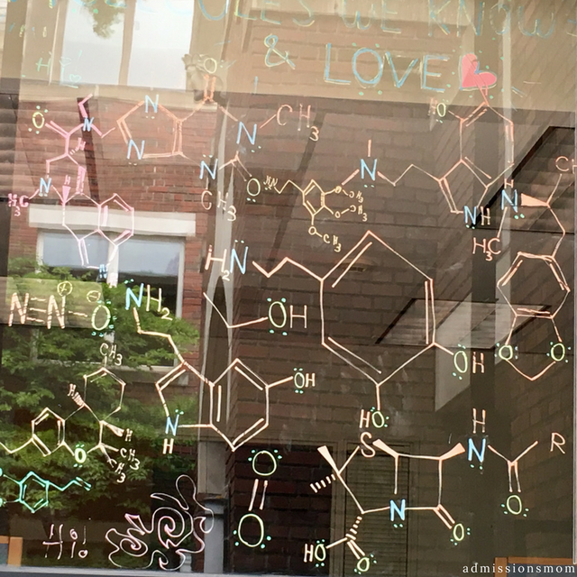 CollegeVizzy's tweet photo. #CollegeTourTuesday:⁠ “Molecules we know and love", created by the students at @reedcollege in Portland, Oregon. See what else Reed students get up to at https://t.co/wTulOGEHwM! #collegevizzy #collegevizzit https://t.co/tNiY3IAPc5