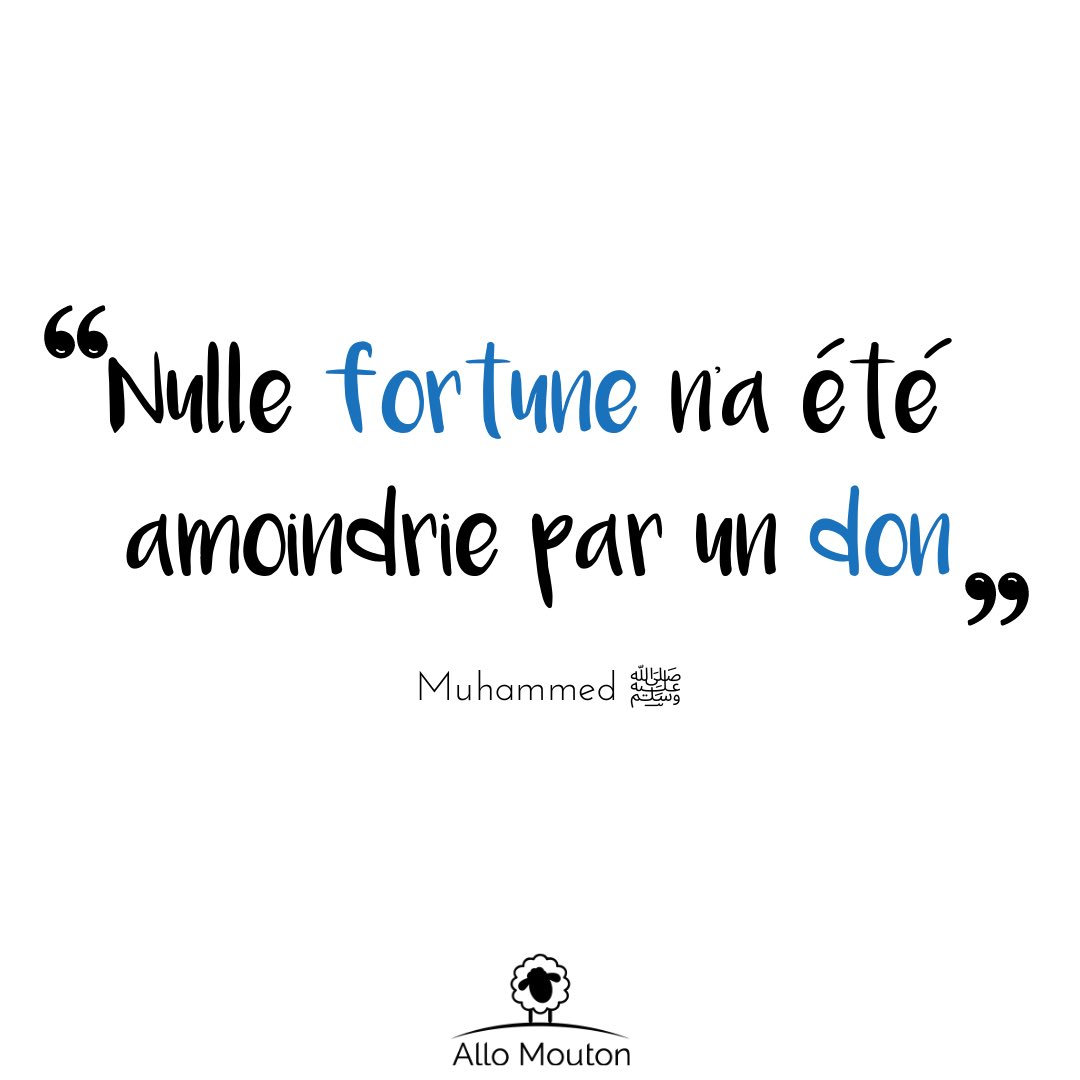 Allo Mouton 🐑 tweet media