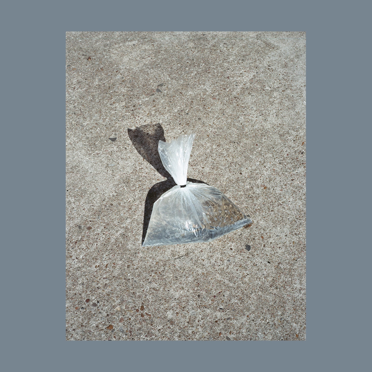 BigMedium's tweet photo. ARTIST FEATURE: Kerrington Cai (she/her/they/them) was born in Beijing, China and raised in San Antonio, TX. Find out more about Kerrington's work online at https://t.co/oNT7NftYWw
#bigmediumartistfeatures #bigmedium https://t.co/ori9jxlbEO