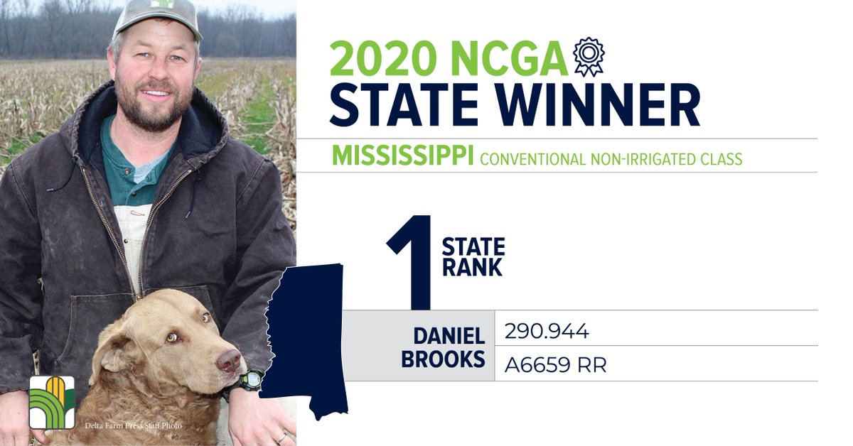 AgriGold's tweet photo. We have a new AgriGold @NationalCorn Yield Contest state yield record in Mississippi! Daniel Brooks, of Coldwater, MS, and his 290.9 yield is the new owner of our top spot for the state. Congratulations Daniel and thanks for being such a great AgriGold #YieldMaster! https://t.co/OfjFolLAHR