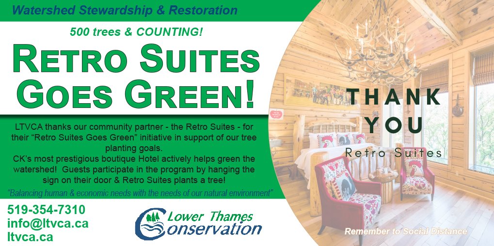LTVCA's tweet photo. 500 trees &amp; COUNTING!  LTVCA Thanks our community partner-the Retro Suites-for their “Retro Suites Goes Green”. 
#retrosuiteschatham #retrosuites #ltvca #gogreen #500trees #planttrees #communitypartner #chatham #ontario #tourism #visitck #reforest #forest #stayhere #cabinsuite https://t.co/iu8W3Ho2iG