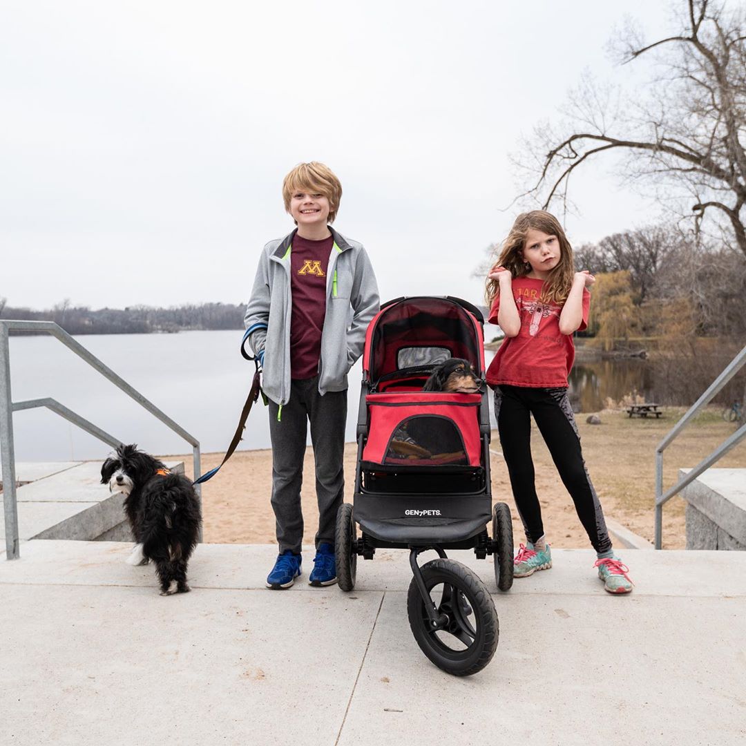 PetmateProducts's tweet photo. Strolling into the new year likeβ¦. Who else is ready for 2020 to be over?? #Gen7Pets πΈ: @kmelife https://t.co/syKEzP7OMd