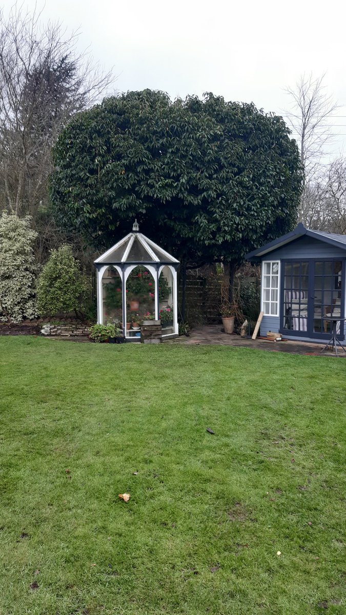 andrewturff's tweet photo. Some of the pruning and topiary completed today in #blofieldheath 
https://t.co/moS5iUPzSZ 
@Checkatrade https://t.co/ARsm6MMWF3