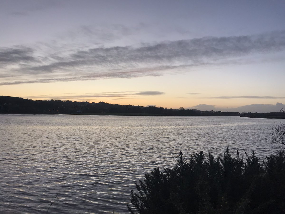 DavidJohnston12's tweet photo. Can’t wait for the nee phone so I can do justice to these scenes.  @RochestownVilag @banksofmylee @MarinaParkCork @savecorkcity @PhotosCork @yaycork @corkbeo @BlackrockVlg #hopisland #cork https://t.co/c2fcey2lp5