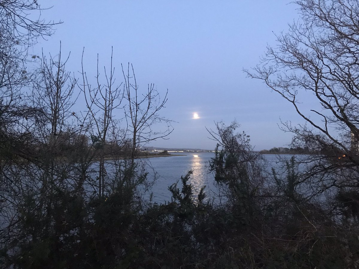 DavidJohnston12's tweet photo. Can’t wait for the nee phone so I can do justice to these scenes.  @RochestownVilag @banksofmylee @MarinaParkCork @savecorkcity @PhotosCork @yaycork @corkbeo @BlackrockVlg #hopisland #cork https://t.co/c2fcey2lp5