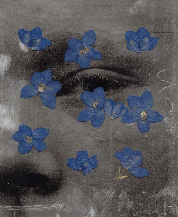 404 (@ziavd) on Twitter photo 