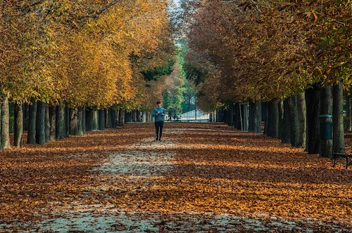 greatruns's tweet photo. What Was Your Run of the Year? Share a run from 2020 that was particularly interesting, scenic or memorable in some way. We'll share excerpts in early January! #runoftheyear- https://t.co/3g4LU8ZpaW https://t.co/DmiKGlj0AV