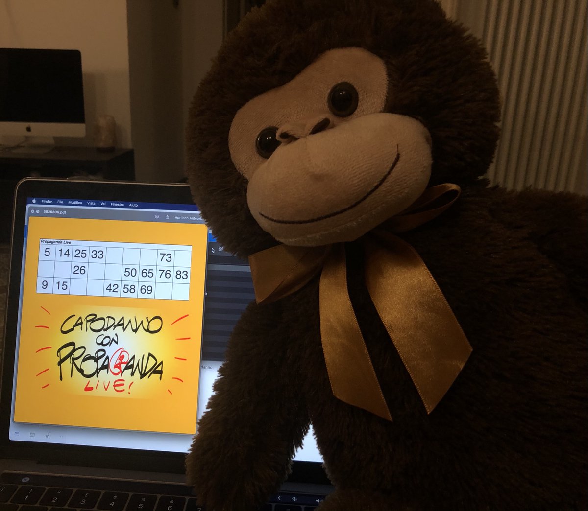 sabeeph's tweet image. C'è da dire che non ho mai vinto manco un ambo nella mia vita, non capisco come io possa anche solo immaginare di farcela nel 2020.  
#propagandalive  #propagandatombola