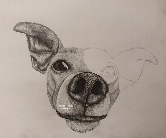 2020 has helped me significantly to develop my art skills, for that I am thankful https://t.co/QHjtn<a href="/tag/newprofilepic"class="tags"><span>#newprofilepic</span></a>