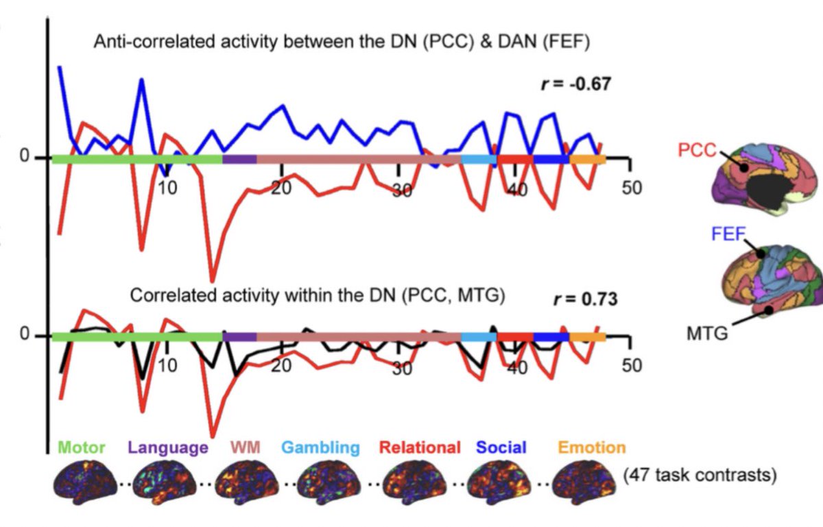 Hesheng Liu (@hesheng3) on Twitter photo Meiling’s new study demonstrates anti-correlations among brain regions across various tasks—a wonderful collaboration with <a href="/foxmdphd/">Michael Fox</a> <a href="/alvaropleone/">Alvaro P-L</a> et al. sciencedirect.com/science/articl… Meiling’s new study demonstrates anti-correlations among brain regions across various tasks—a wonderful collaboration with <a href="/foxmdphd/">Michael Fox</a> <a href="/alvaropleone/">Alvaro P-L</a> et al. sciencedirect.com/science/articl…
