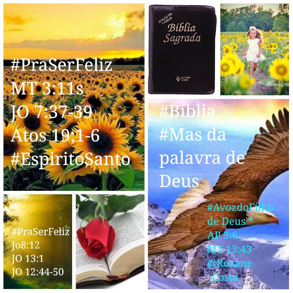 Rozane_Costa's tweet photo. #TempoDeDeus #TestemunhoDeJesus #Adoção #AmorPleno #AmorAbsoluto #AmorDeDeus #RecitandoPalavras #sabedoria #girassóis #componentes @RosaMar14112784
"Deixei o sepulcro vazio" ela ñ pode [...]...( Rm9,7 "Humano amor de Deus " #Dia "da saudade "#ternura #Afago https://t.co/zeaeVKrO9Y