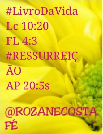 Rozane_Costa's tweet photo. #TempoDeDeus #TestemunhoDeJesus #Adoção #AmorPleno #AmorAbsoluto #AmorDeDeus #RecitandoPalavras #sabedoria #girassóis #componentes @RosaMar14112784
"Deixei o sepulcro vazio" ela ñ pode [...]...( Rm9,7 "Humano amor de Deus " #Dia "da saudade "#ternura #Afago https://t.co/zeaeVKrO9Y
