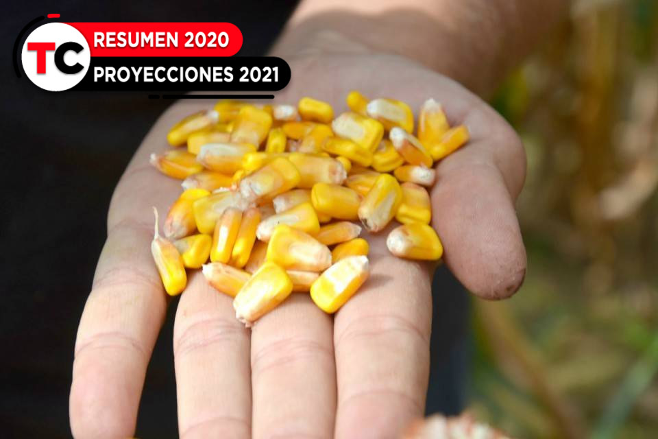 DiarioTalCual's tweet photo. AGRO EN ROJO | Caída de 84% en producción de maíz se encubre con menos consumo de harina #TalCual #ClaroyRaspao #DebacleTotal https://t.co/ARArwjio7q https://t.co/n2byqaawj8