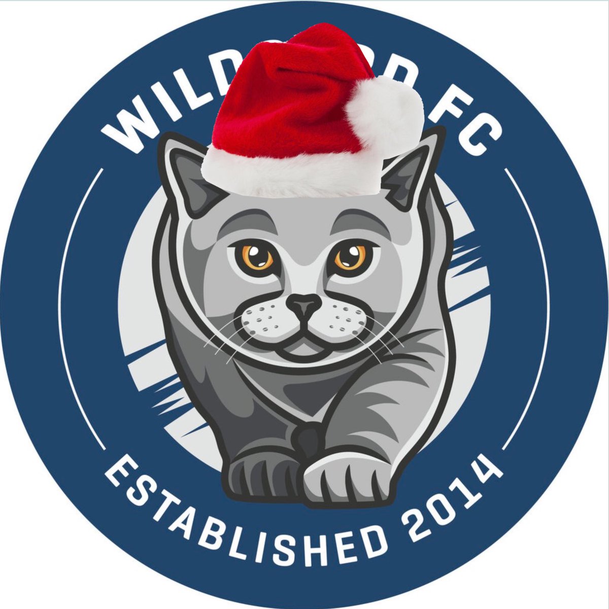 Wildcard FC tweet media