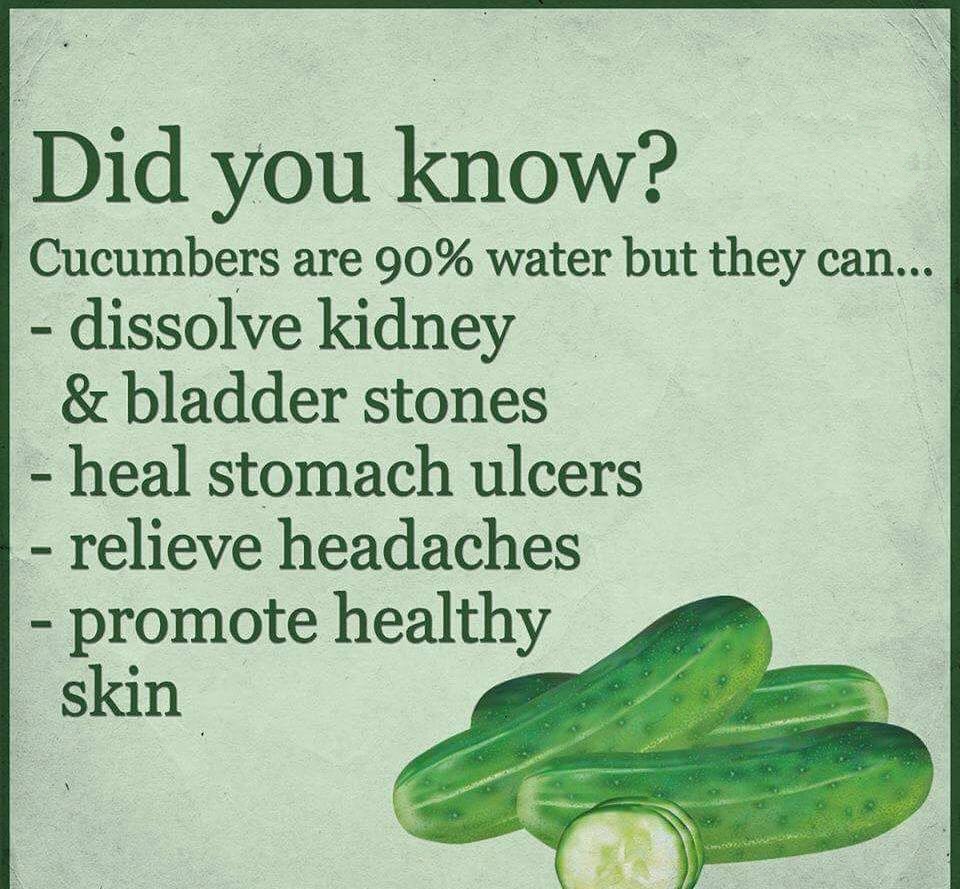 eGlobalNatural's tweet image. Cucumber! buff.ly/2G2uOgG 
#diabetes #healthtips #health #nutrition