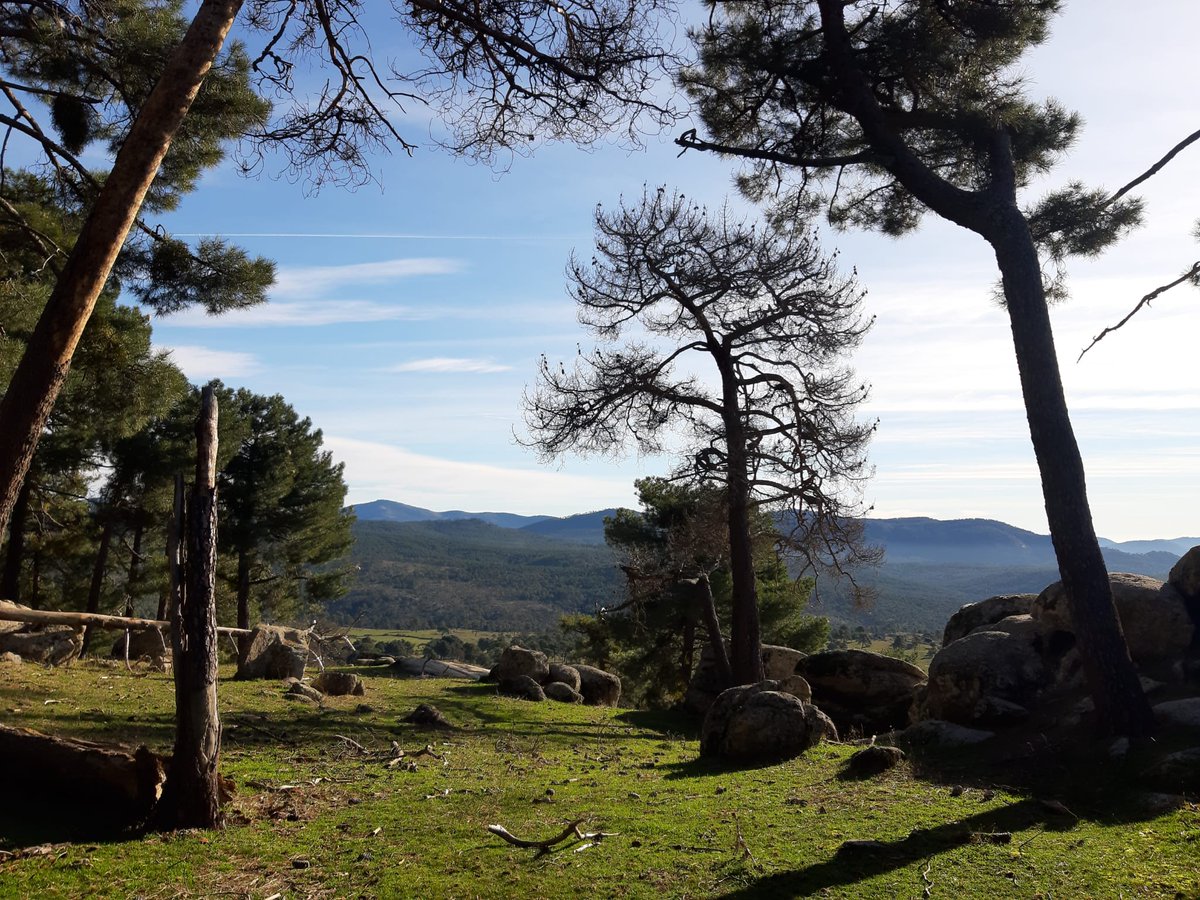 TurismoLasNavas's tweet photo. A dos días de despedir este #loco2020 seguimos descubriendo #rinconesparaperderse como el Berruquillo, cerca del embalse de Ciudad Ducal, en Las Navas del Marqués. https://t.co/qEDDAgyZoj