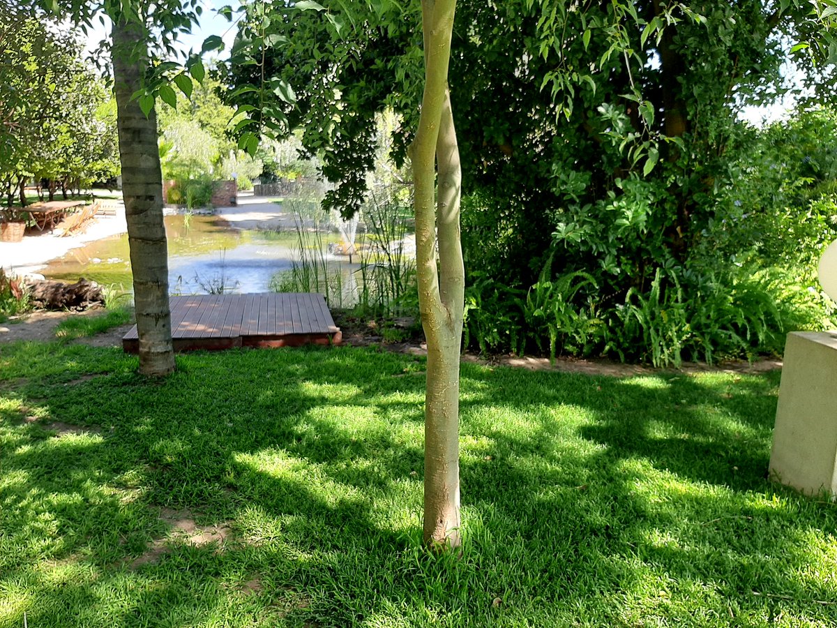 We drove to Upington, which is 9 hours away. We stayed a lodge called African Vineyard. Beautiful place on the Orange river...because there were so few of us we even got upgraded to a honeymoon suite