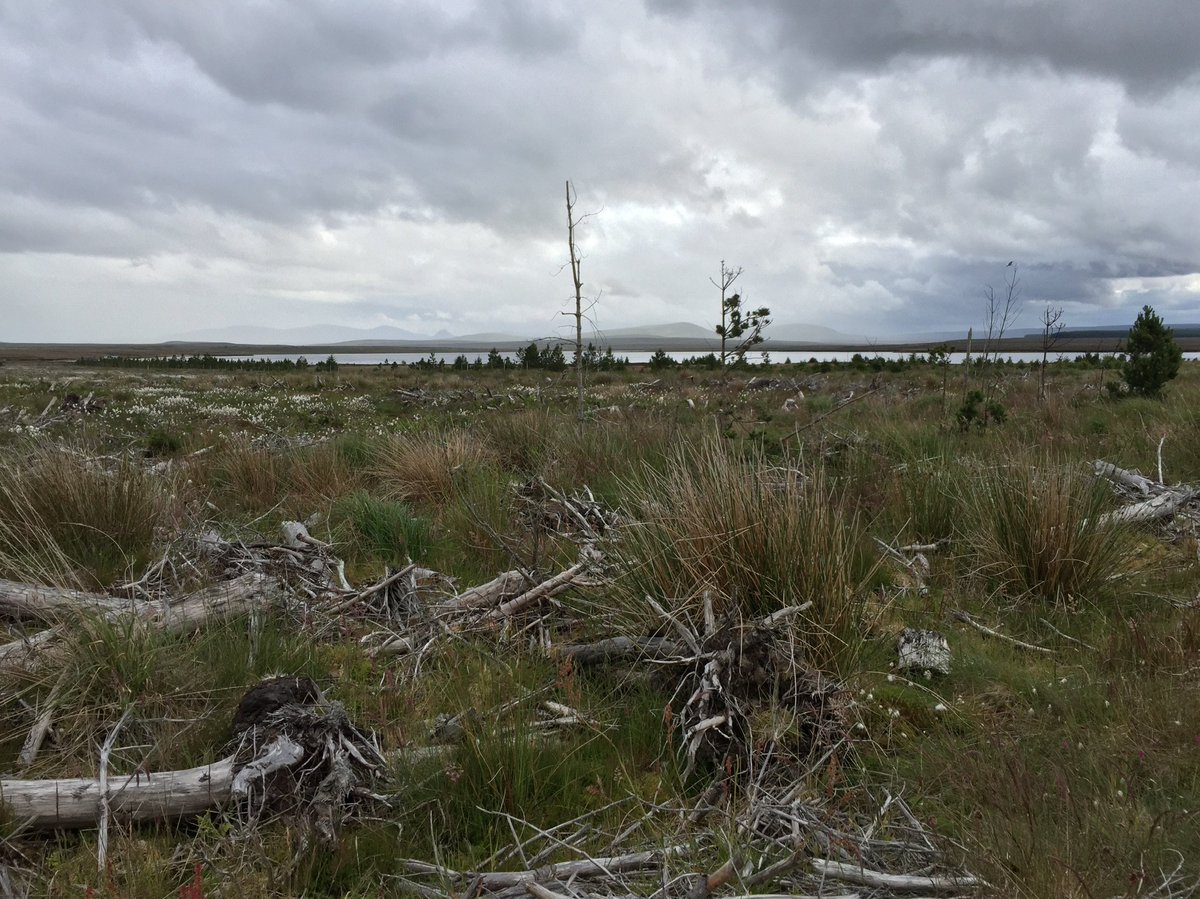 And as we restore previously afforested areas of flow. We should restore them faithfully to what they were, peopled. Not what the restorers might wish to see, wilderness. There's a danger that a green map hides what was once there before.